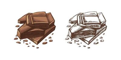 Broken chocolate pieces with crumbs in vintage colored and monochrome sketch style vector