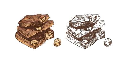Stack of handmade colored and monochrome chocolate pieces with nuts vintage style vector