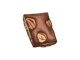 Colored sketch of chocolate piece with nuts in vintage hand-drawn style vector