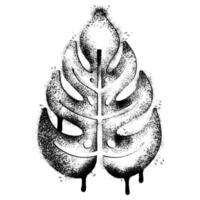 Spray Painted Graffiti monstera leaf isolated on white background. vector