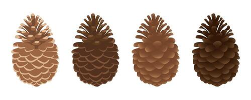 Fir or pine cones set. Open cones isolated on white background. illustration vector