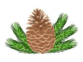 Pine cone with fir branches isolated on white background. illustration vector
