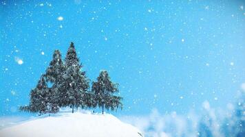 Group of Snow Covered Pine Tree on the Snowy Mountain with Snow Storm 3D Animation video