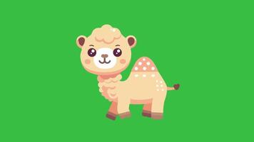 Calm Camel Walking in a Scenic Desert Animation video