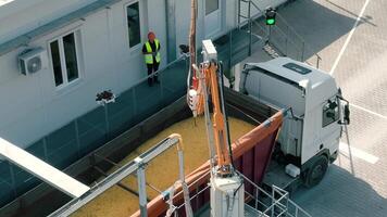 Worker overseeing grain loading into a truck at a facility. A worker wearing a safety vest and helmet oversees the process of grain being loaded into a large truck. video
