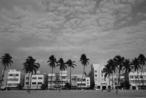 Serene Daytime Landscape Featuring Arecales and Modern Building Against a Cloudy Sky photo