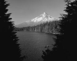 Serene Mountain Lake Surrounded by Larch Trees Under a Clear Sky photo