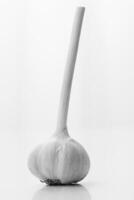 Garlic Close-Up Background photo