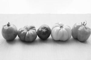 Fresh Tomatoes in a Row, Close View Background, Food Photography photo