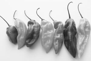Chili Peppers in a Row, Background photo
