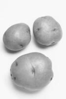 Desiree Potatoes on White Background, Close View photo