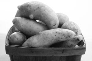 Fingerling Potatoes Background photo