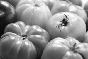 Fresh Tomatoes, Close View Background, Food Photography photo