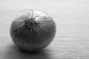 Red Onion Isolated on a White Background photo