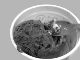 Chocolate and Soy Ice Cream Dessert on Tableware photo