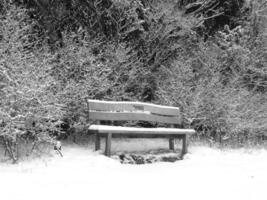 Winter Trees Covered With Snow Background photo