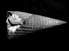 Peach Wafer Cone Dish with Snails and Slugs Decor photo