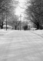 Winter Trees Covered With Snow Background photo