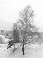 Winter season landscape background, cold and frosty weather photo