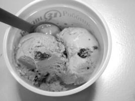 Pistachio Ice Cream and Soy Ice Cream Varieties photo