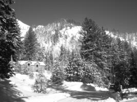 Snowy Mountain Landscape with Larch Trees Under Freezing Sky photo
