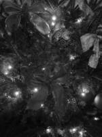 Christmas Tree with Gold Ornaments on Evergreen Branches photo