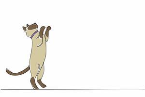Continuous one line drawing siamese cat posing. Movement invites to play. Cats full of joy. Cheerful. Performing like in a circus. National Siamese Cat Day. Single line draw design illustration vector