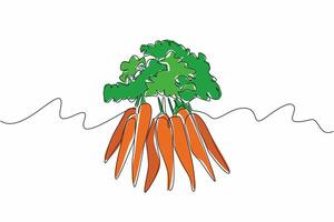 Single one line drawing 8 carrots with thick leaf tips. Some of the harvests will be processed by ourself. Healthy garden. Health. International Carrot Day. Continuous line design graphic illustration vector