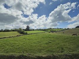 Highland Landscape with Cumulus Clouds and Trees photo