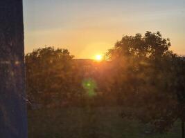 Dusk Atmosphere with Trees and Orange Sky Over Natural Landscape photo