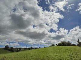 Cloudy Sky Over Grassland with Trees and Plants photo