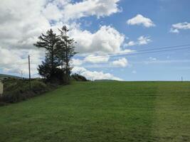 Cloudy Sky Over Green Landscape with Trees and Grassland photo