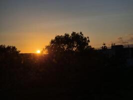 Sunrise in Amber Sky with Trees and Afterglow photo