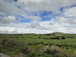 Cloudy Sky Over Grassland with Trees and Plants photo