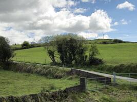 Highland Landscape with Trees and Clouds photo