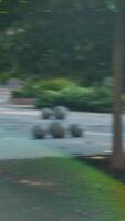 Experience captivating blurred motion in a lush green environment full of life and details video