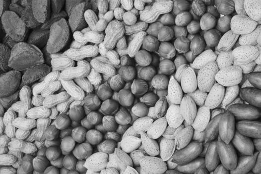 Mixed Nuts Background photo
