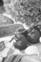 Vibrant Cherry Tomatoes and Plum Tomatoes A Natural Ingredient for Delicious Recipes photo