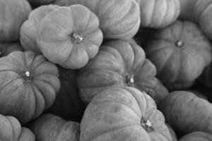 Acorn squash close view background photo