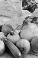 Courgettes close view background photo