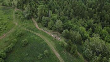 Aerial View of the Scenic Hiking Trail That Is Surrounded by Lush Greenery and Nature. Clip video