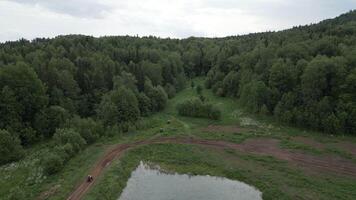 Serene and Beautiful Aerial View of a Lush Green Forest Surrounded by a Tranquil Pond. Clip video