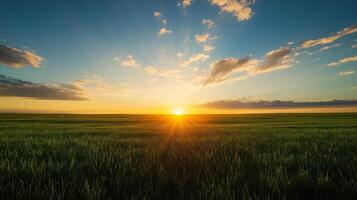 Sunrise over a lush green field with vibrant clouds and golden rays casting warmth in the morning sky photo