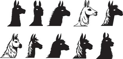 Majestic Llama Profile for South American Art Themes vector