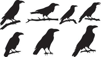Crow on Fence Silhouette for Rustic and Country Art Concepts vector