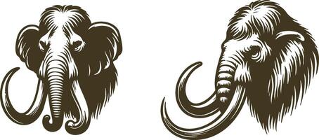 Woolly Mammoth Illustration for Ice Age Art Projects vector