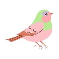 A colorful bird with a pink body and green wings. The bird is standing on a white background vector