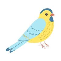 A yellow and blue bird is standing on a white background. The bird has a cute and friendly expression vector