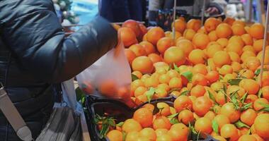 A person is picking oranges from a table video