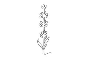 Decorative lavender flower for greeting card ornament vector